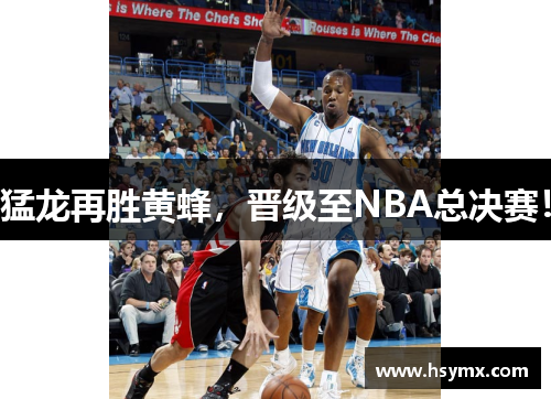 猛龙再胜黄蜂，晋级至NBA总决赛！