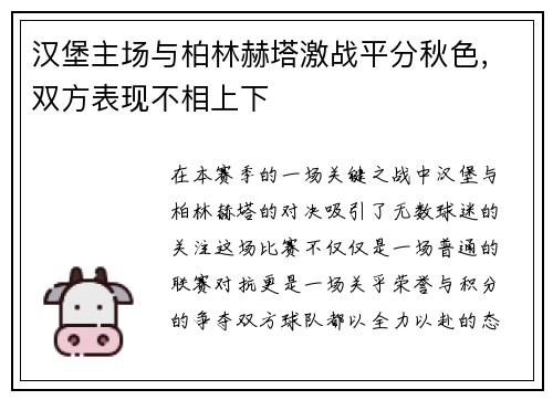 汉堡主场与柏林赫塔激战平分秋色，双方表现不相上下