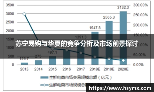 苏宁易购与华夏的竞争分析及市场前景探讨